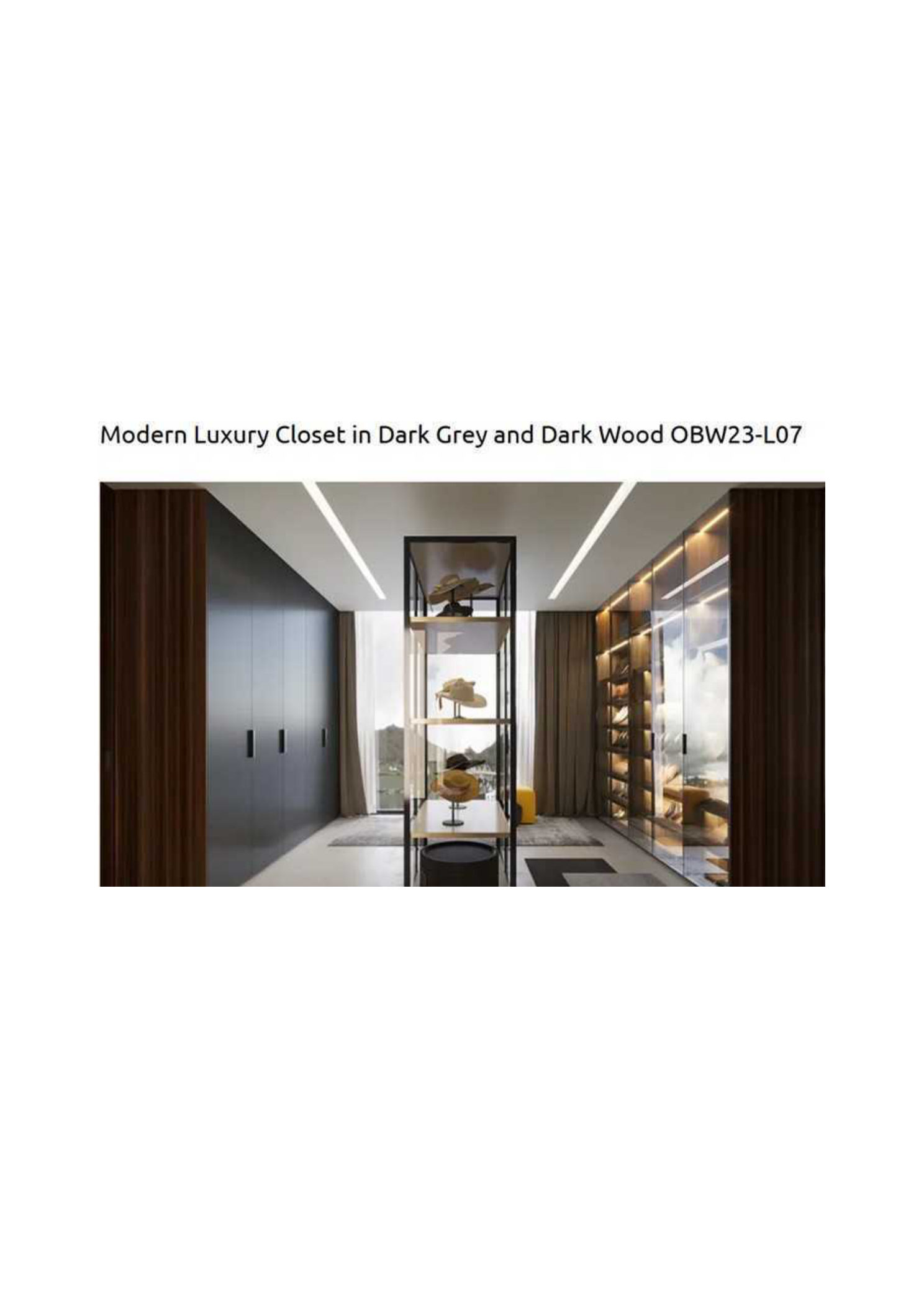 Modern Luxury Closet in Dark Grey and Dark Wood OBW23-L07